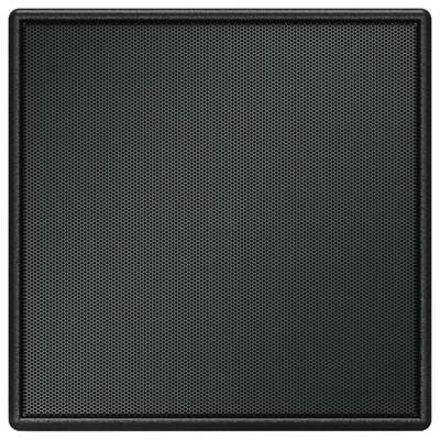 BOSE PROFESSIONAL AMS115