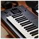Osmose - photo-6