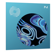 iZotope Ozone 11 Standard [Digital]
