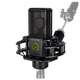LCT 240 PRO BK VOCAL SET - photo-1