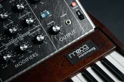Minimoog Model D - photo-2