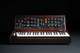 Minimoog Model D - photo-3