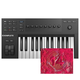 KOMPLETE KONTROL A25 + KOMLETE 14 STANDARD - photo-1