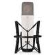 NT1 Signature White - photo-1