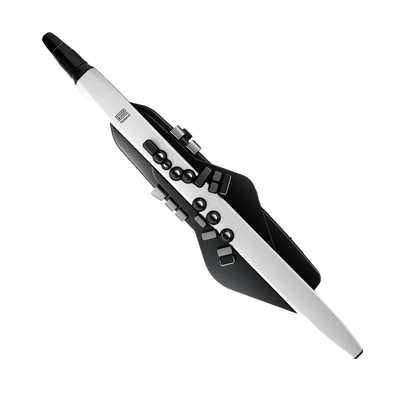 Roland Aerophone AE-20