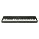 FP-40 BK - photo-2
