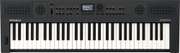 Roland GO:KEYS 5 Graphite