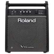 Roland PM-100 Personal Drum Monitor