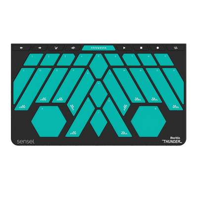 Sensel Buchla-Thunder Overlay