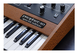 Prophet 10 Special Edition - photo-4