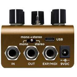 Olivera Delay - photo-2