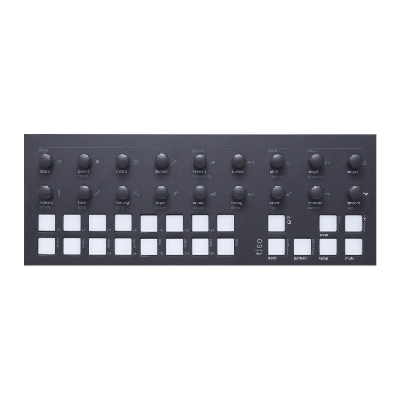 DTM・DAW torso electronics T-1 Torso Electronics T-1 - SKYLARK