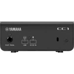 CC1 - photo-4