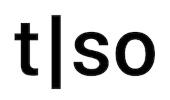 Torso Electronics logo