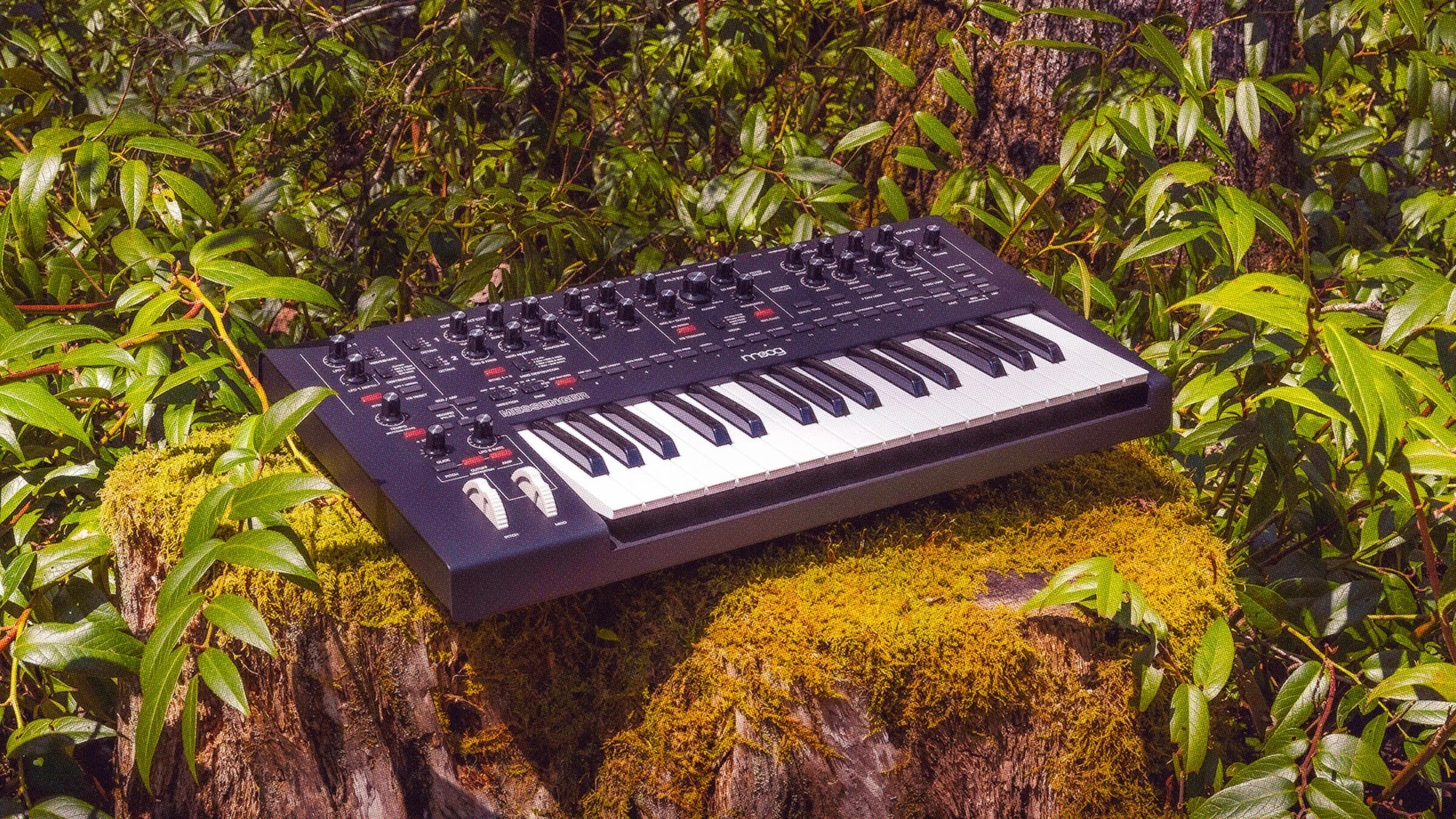 Moog Messenger – kolejna generacja analogowej magii